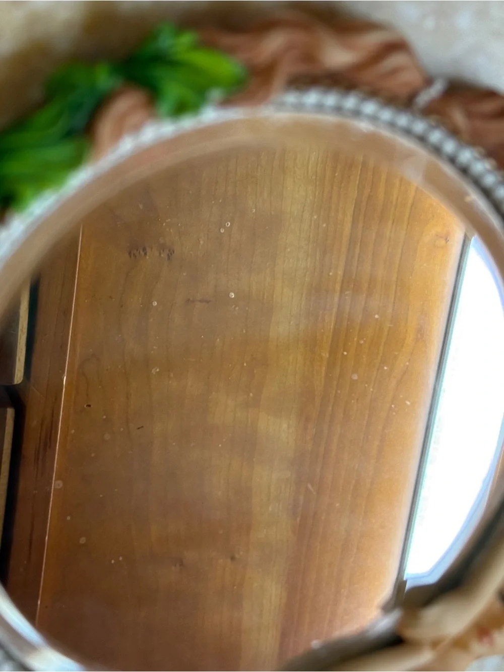 Mermaid Scale Hand Mirror with Green Leaf Accents